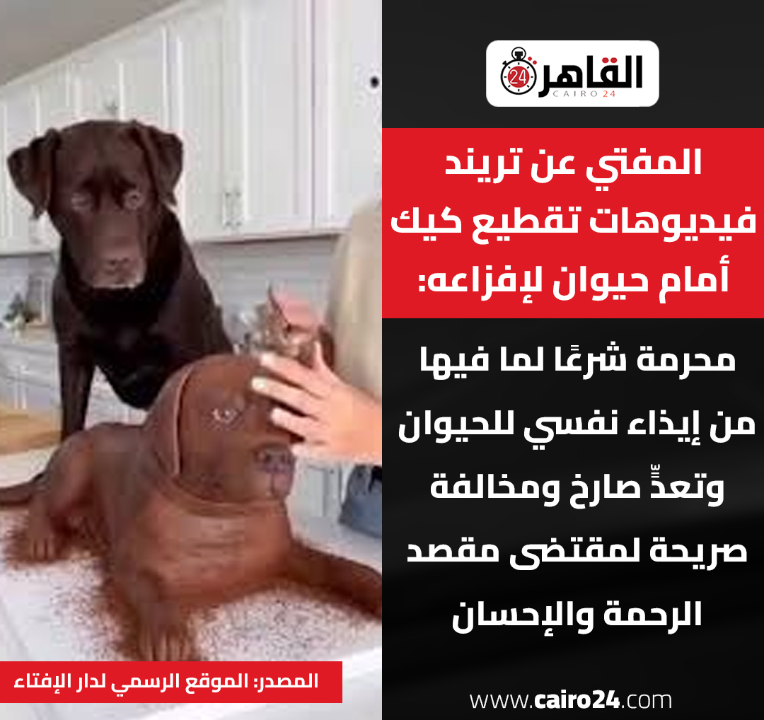 Cairo 24 - القاهرة 24 tweet media