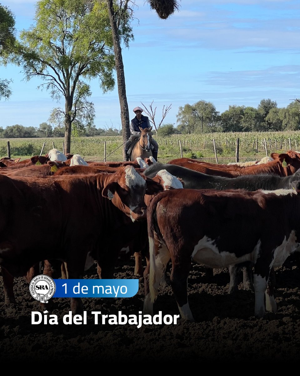 SociedadRural's tweet photo. En este día, celebramos a quienes hacen patria con su labor diario 💪🏽🇦🇷

¡Feliz Día del Trabajador!

#SRA https://t.co/G0oX1D8eXs