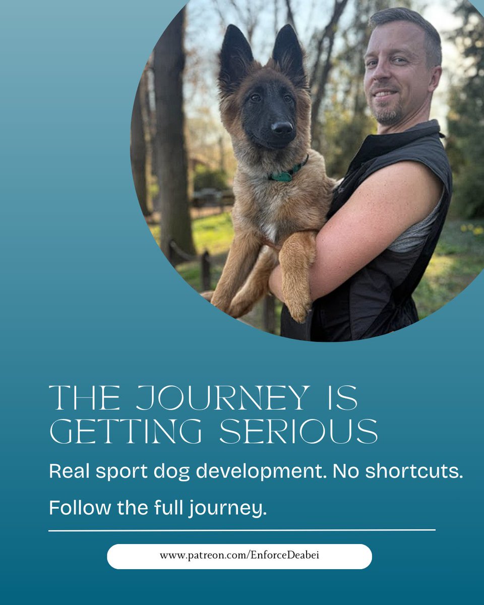 EnforceDeabei's tweet image. She’s not a tiny puppy anymore.

And she’s not a finished competitor either.

This stage is critical.

Structure.
Clarity.
Consistency.
🔗 patreon.com/EnforceDeabei

At what age do you believe real sport structure should begin? 👇

#EnforceDeabei #FromPuppyToPodium #WorkingDog