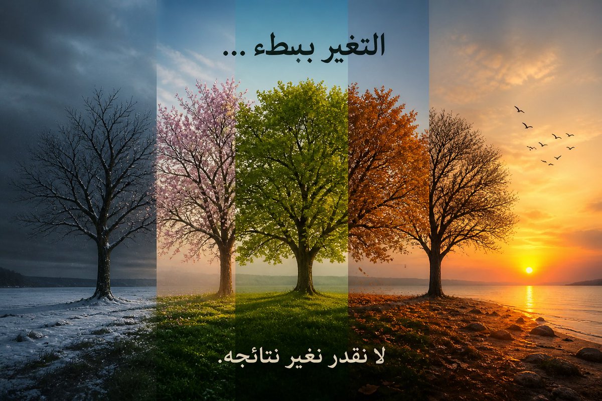 قلمها 🪶🤍 tweet media