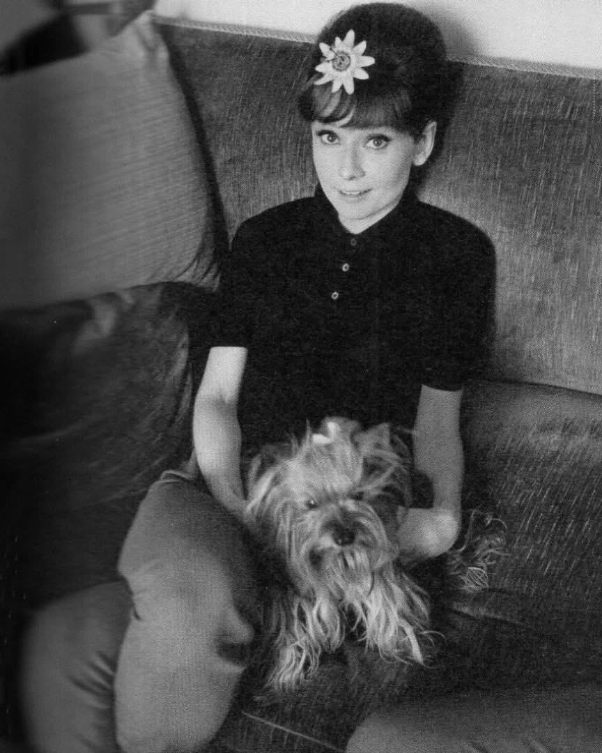 Audrey Hepburn and Mr. Famous photographed by Bob Willoughby during the production of Paris When it Sizzles, 1962