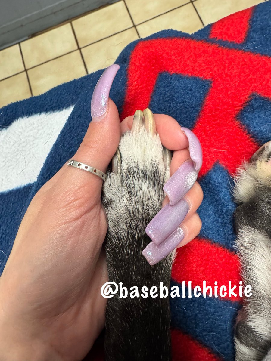 *Baseball Chickie!* tweet media