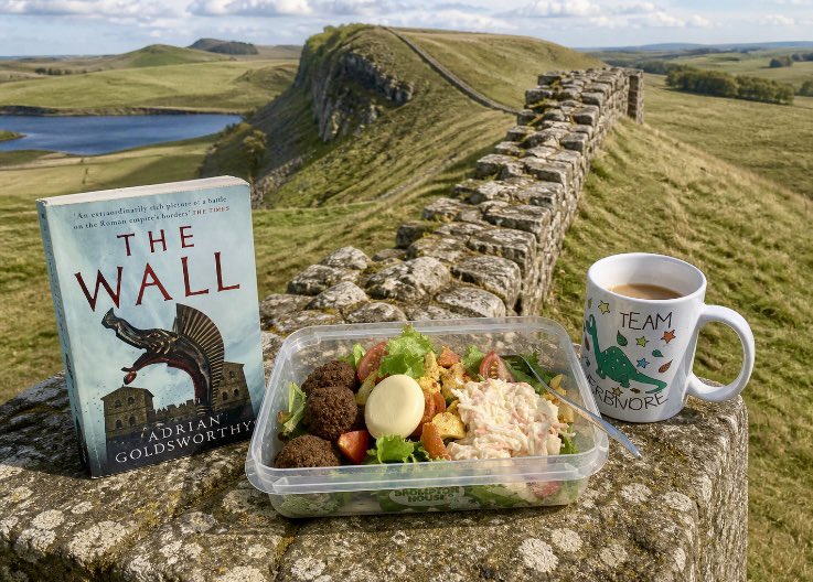 CambriaCeltica's tweet photo. Lunch in the library is ‘The Wall’ served up with vegan falafel and vegan baby bel 🥗 it just needs some balsamic glaze and lemon olive oil 🍋🫒as it’s a tad dry. 
#LibraryLunch 
#VeganLibrarian (Yes, background is AI) https://t.co/jNNDQRxZuz