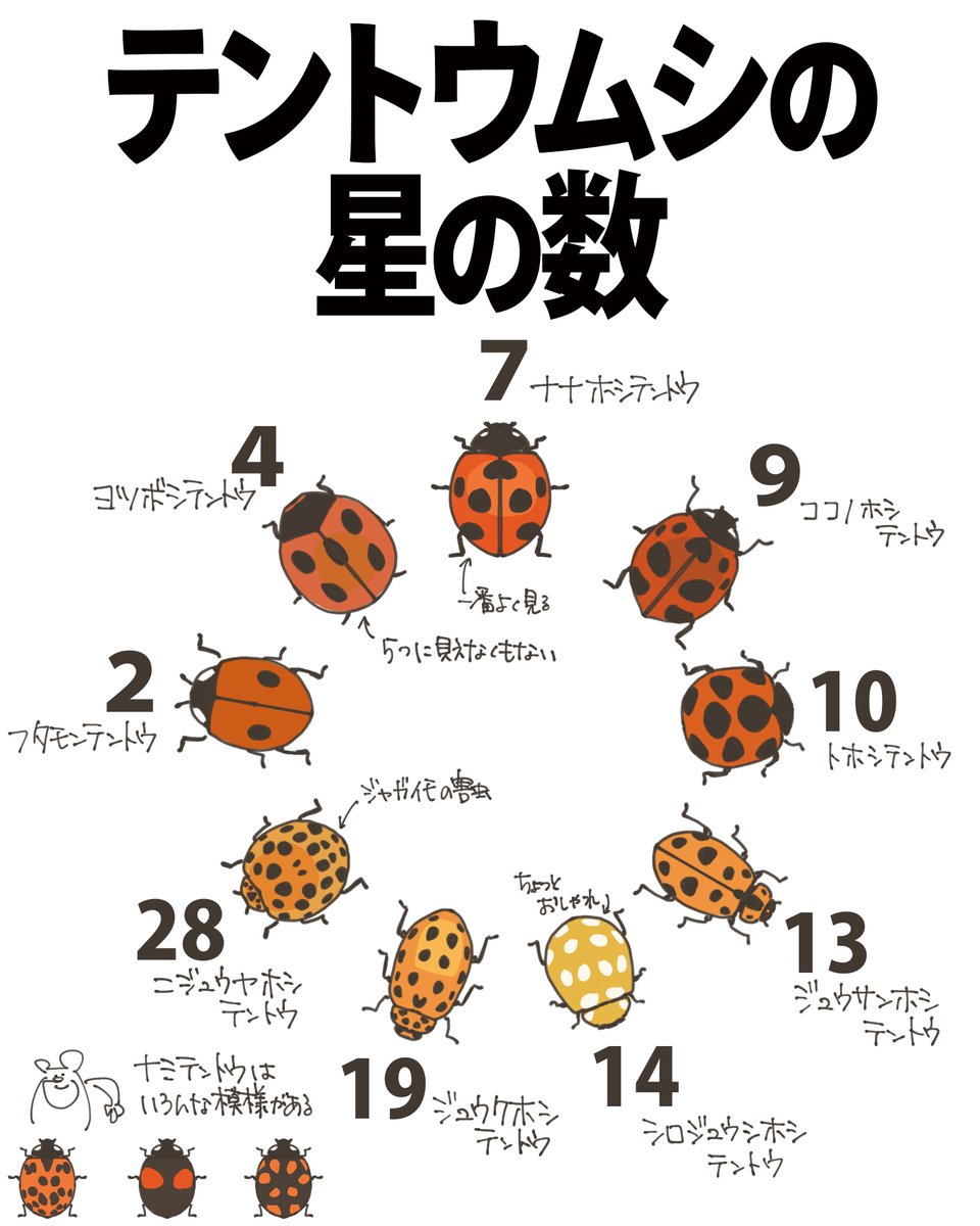 自然ガイドのネタ帳 tweet media