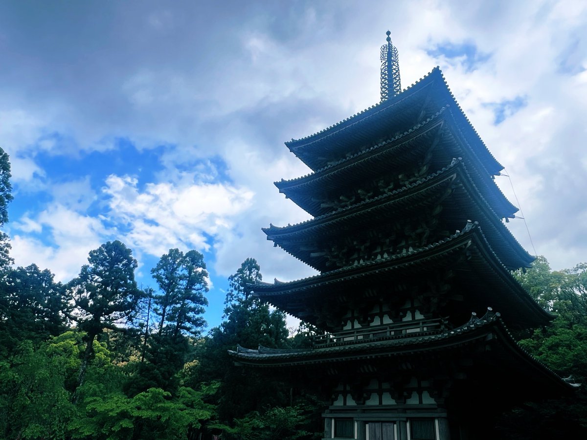 P96684568's tweet photo. 今日は世界遺産4つでしたが、移動距離は中々でした

苔寺では荘厳な雰囲気の中、外国人のみなさんも真剣に写経してて微笑ましかったです😊

醍醐寺は空いていて厳かな雰囲気に浸れました

#西芳寺 #醍醐寺 #平等院鳳凰堂 #宇治上神社 https://t.co/cGkZez7bzZ
