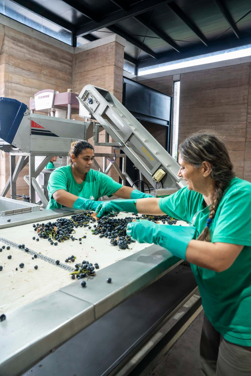 SantaJuliaARG's tweet photo. A quienes día a día demuestran por qué no les da lo mismo. A nuestro gran equipo: ¡feliz día! https://t.co/TzNbGlP9n6