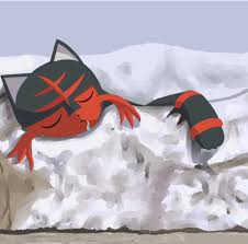 Littens tweet media