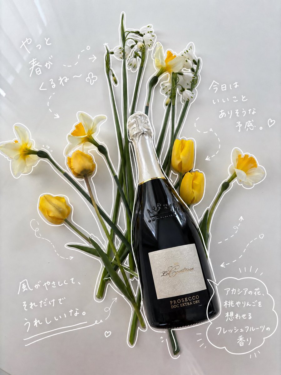 AvicoWine's tweet photo. 🍀春のおすすめ☘️
 【ヴェネト・白泡】
プロセッコ エクストラ ドライ N.V. / DOC Prosecco Treviso / Le Contesse 
✨調和のとれた心地よい酸味で、長い余韻が続きます。
@le_contesse 

https://t.co/YDQ3ZzqCpH https://t.co/xi99ew5UaA