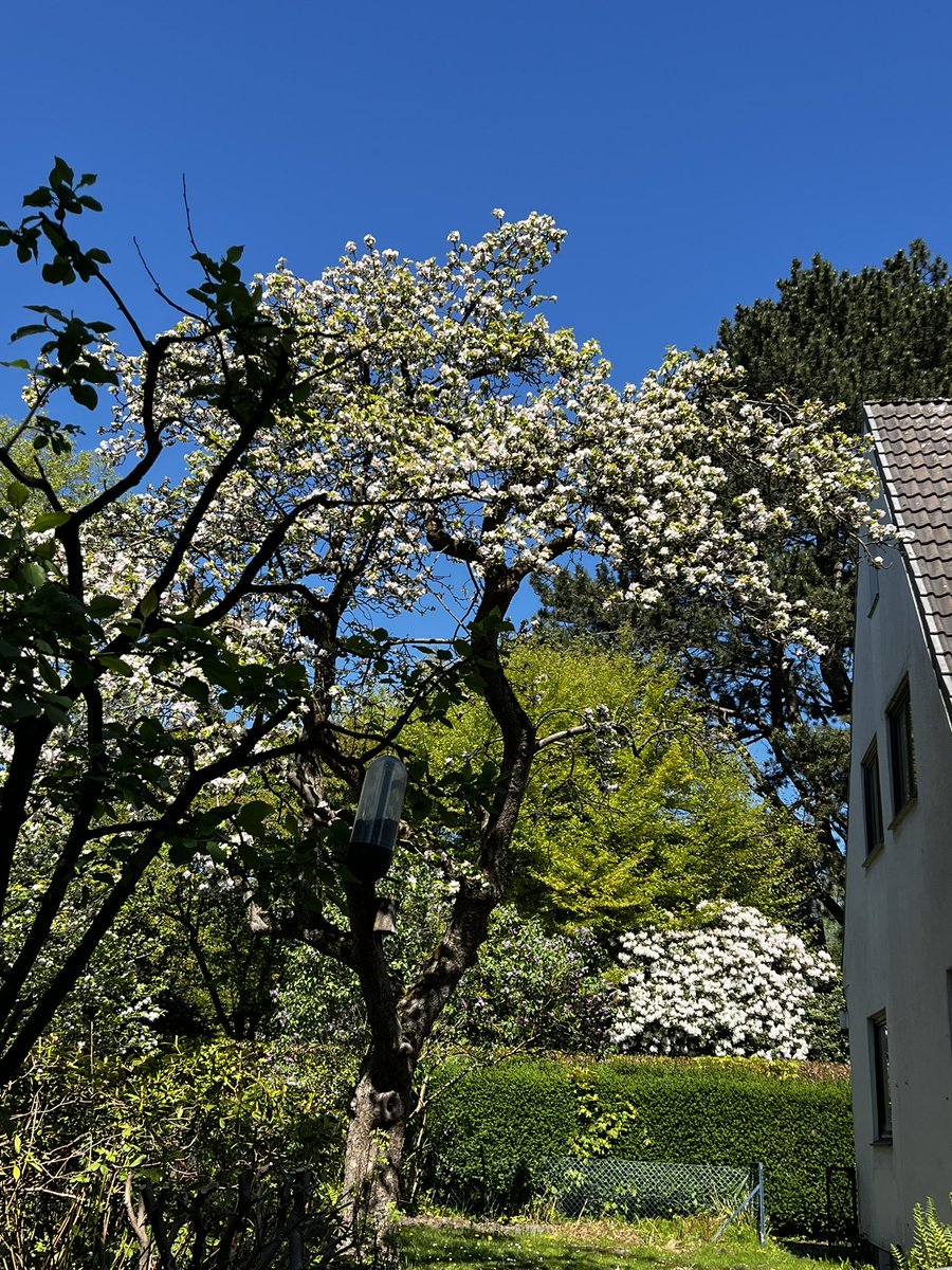 dammiLoh's tweet photo. Schönen Maifeiertag allen. 🌸😎

#1Mai #Hamburg #jetzt #TagderArbeit https://t.co/APsVF2gKAm