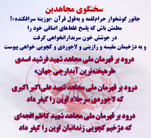 nasrin tweet media