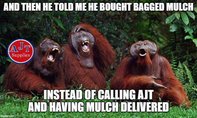 AJTSuppliesinc's tweet image. Happy Friday Everyone!!😁✨

Who's ready to slide into the weekend with a giggle? Get your laugh-o-meter ready because it's #FridayFunny and we're hitting you with the FUNNY MEME OF THE DAY! 🌟💻 Can you relate? 😂