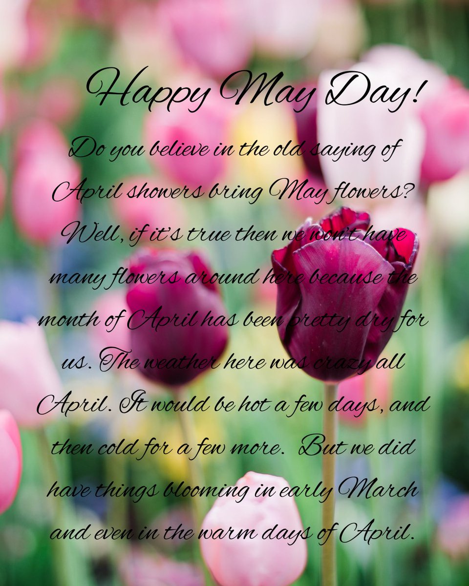 authorhblack's tweet photo. Happy May Day! Hoping every one has a wonderful month of May.  If the trend from April continues we might have a mild May, which would be nice since the kids get out of school  close to the end of May. We might make a few beach runs before the summer vacationers come into town. https://t.co/tCHv4YwbwM
