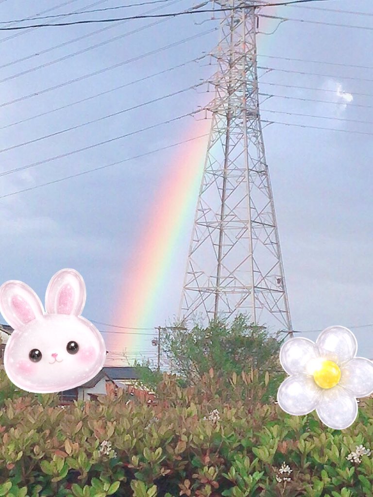 まいめろん🍈 tweet media