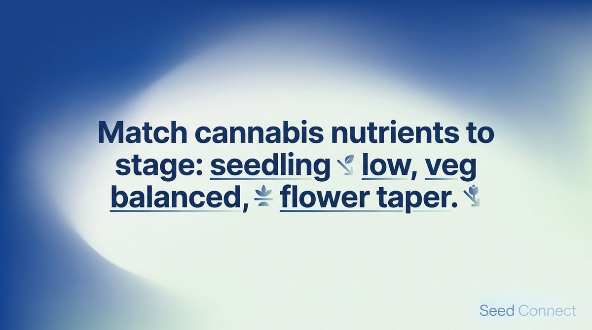 TheSeedConnect tweet media