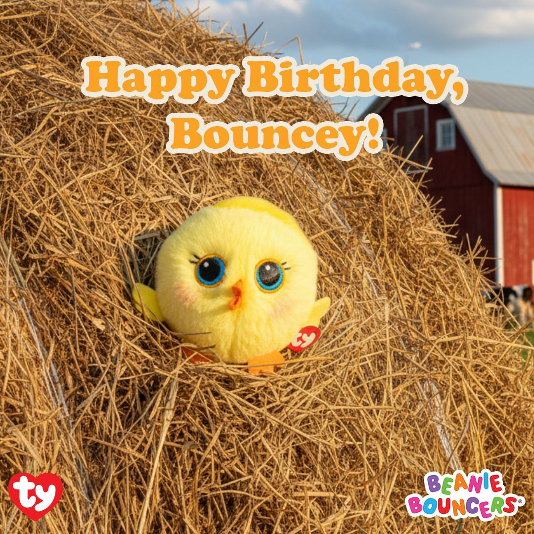 tybouncers's tweet image. 🎉 Today, May 1, we’re celebrating Bouncey’s birthday — the sweet and cheerful chick from the Beanie Bouncers family! 

#howhighWillitBounce #ty #tybeaniebouncers