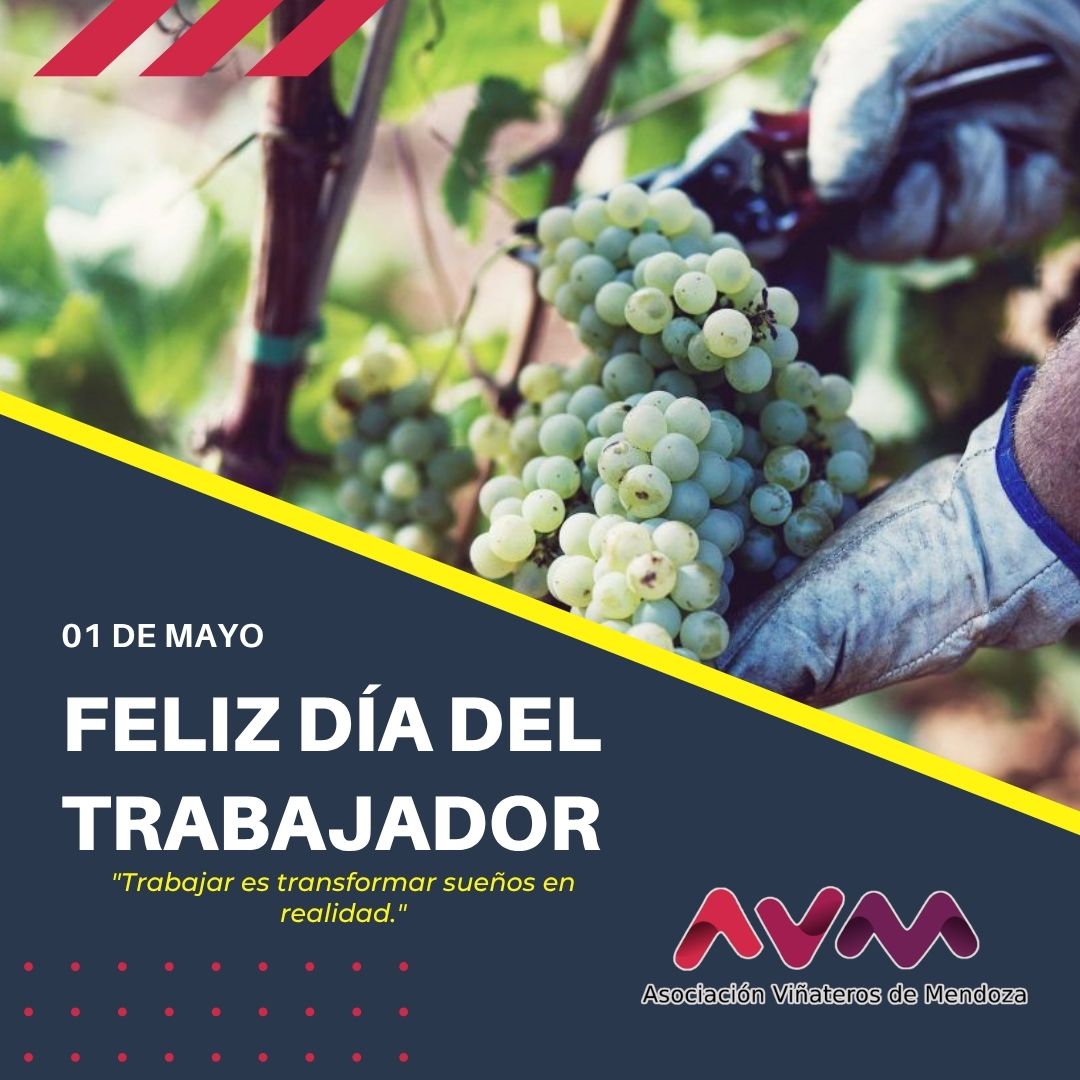 viñaterosdemendoza tweet media