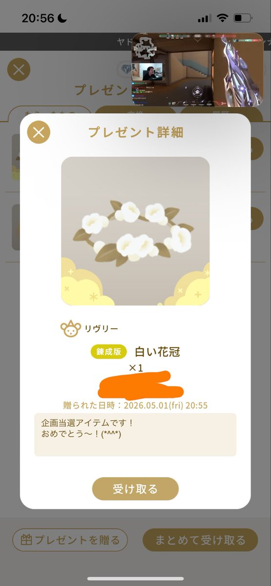 篝火 Kagaribi tweet media