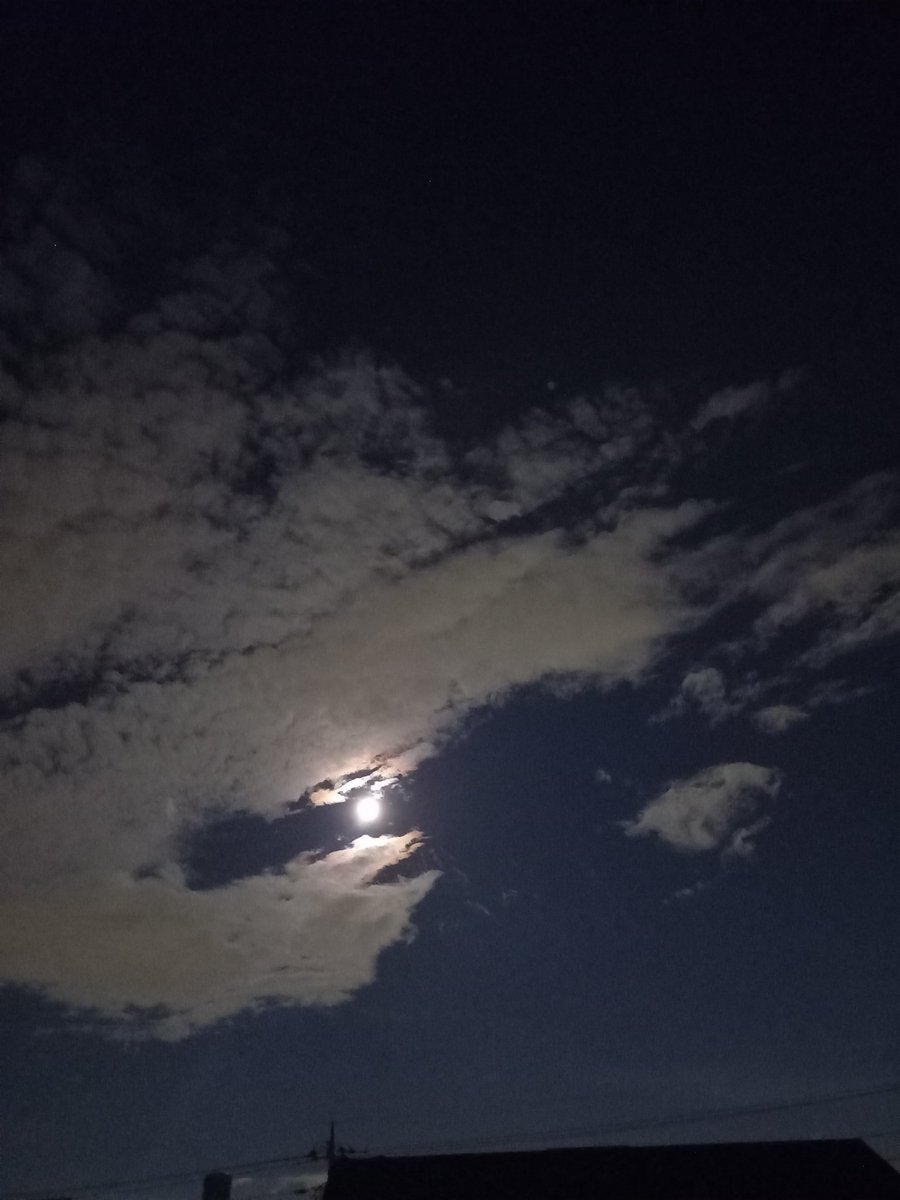 savnorth's tweet photo. 昼間の喧騒がおさまった、静かな夜の空を眺めるのも好きだ

さて、今夜はケバブを再現してみた

ん！いい感じ(^-^)

#月 #空 #ケバブ https://t.co/ALAkv0UlpM
