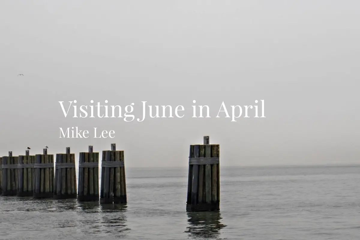 NoirBristol's tweet image. Visiting June in April by Mike Lee
bristolnoir.co.uk/site/visiting-…
##poetry flashfiction #shortstory  #goodreads #readingcommunity #dirtyrealism #writingcommunity #publishingcommunity #bristolnoir #submisssionsopen #noir
