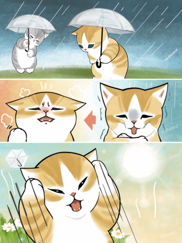 ぢゅの🐈 tweet media