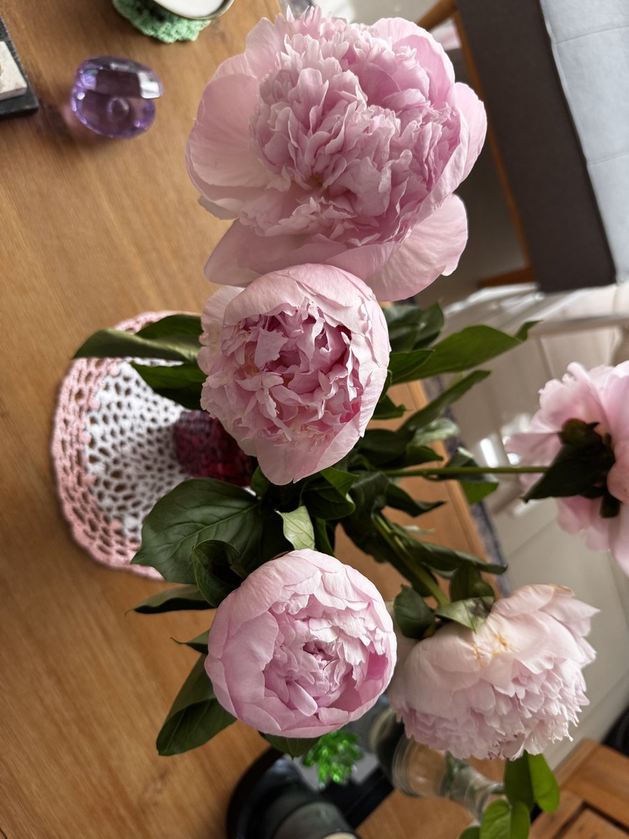 dandmgreetings's tweet photo. Hello May, A Month Full of Creativity &amp; Beautiful Beginnings,
A new month, a fresh energy, and so many beautiful ideas waiting to bloom,
Starting this lovely month with cozy decorations, soft flowers, and sweet home moments that make life feel even more magical
So excited… https://t.co/4hStukt0TT