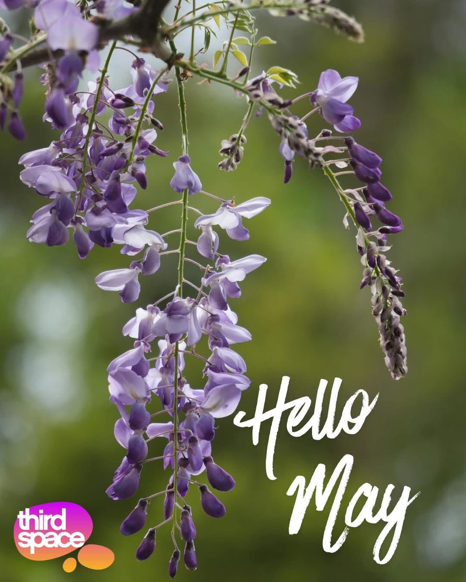 ThirdSpaceMin's tweet photo. Hello May!  This month Jerry is heading to the Brighton Music Conference, Carolyn is out preaching in several places, Madison continues to support the women in Soho &amp; a few of us are off to Birmingham for the 24-7 Prayer Gathering.  Thanks for all your prayers this month. https://t.co/yDEzNjOGOt