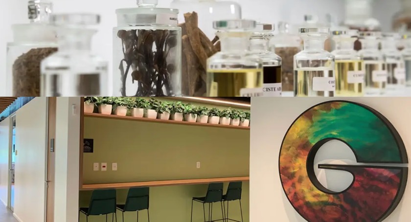 BeautyPackaging's tweet image. Givaudan, the global leader in Fragrance &amp;amp; Beauty, celebrates the groundbreaking of a new factory in Mexico, reaffirming its long-term presence and dedication to the region and its customers.
➡️ hubs.li/Q04dlFCk0
#Givaudan #fragrance #beautyindustry