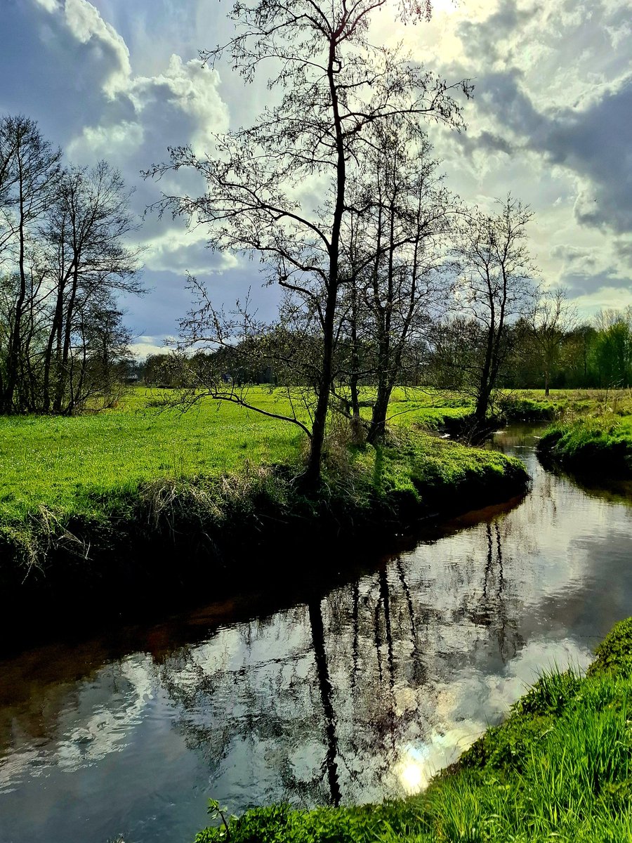 chriz31_07's tweet image. Share QP your favourite April Shots📸 

#Photography 
#April #nature