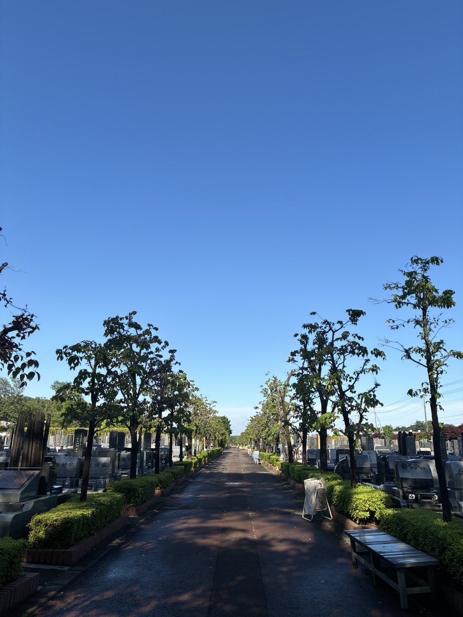 晴れるのを待って