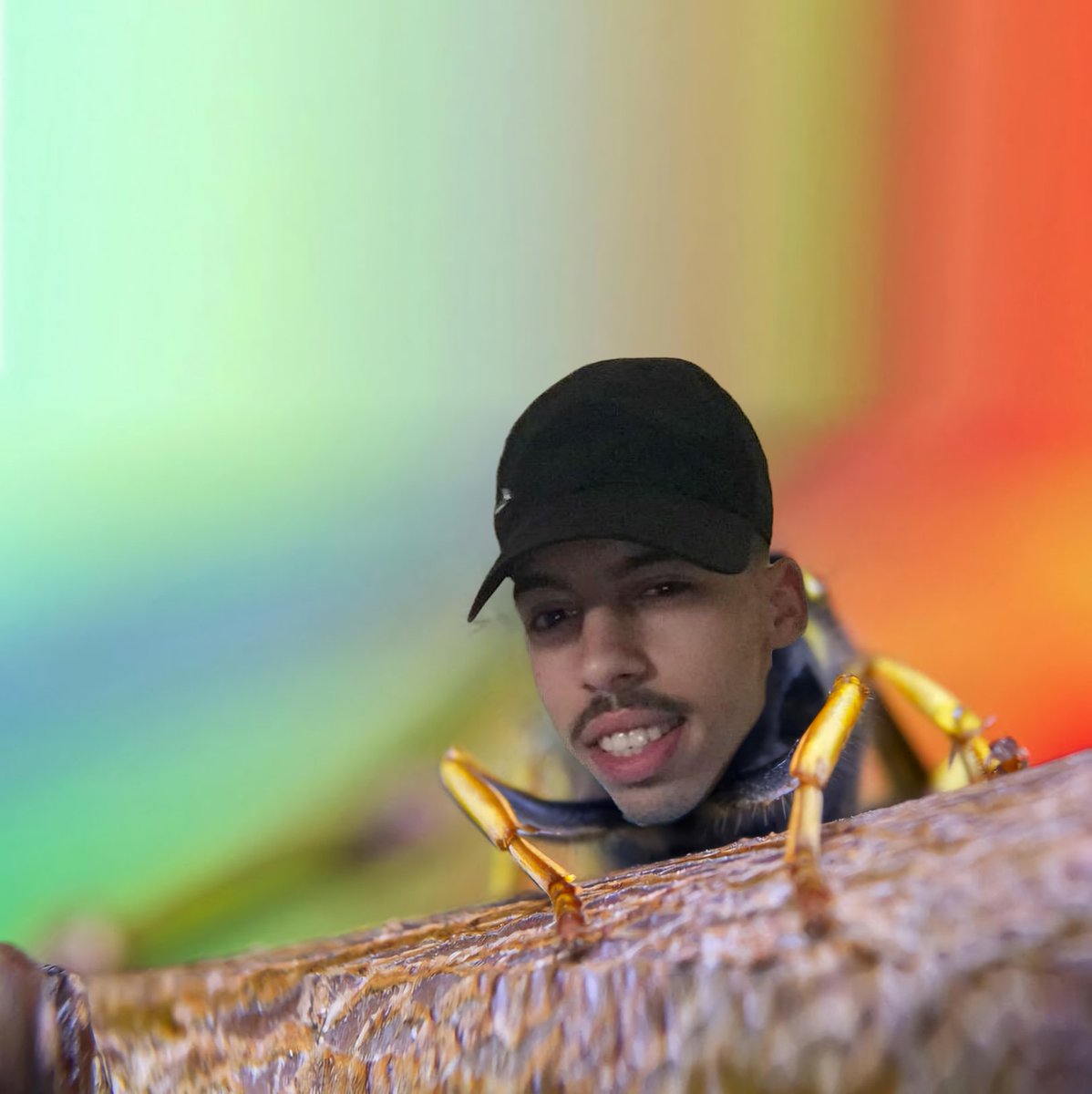 𝕷𝖊 𝕮𝖍𝖆𝖙 𝕽𝖊𝖓𝖆𝖗𝖉 ⚜️🇨🇵💸 tweet media