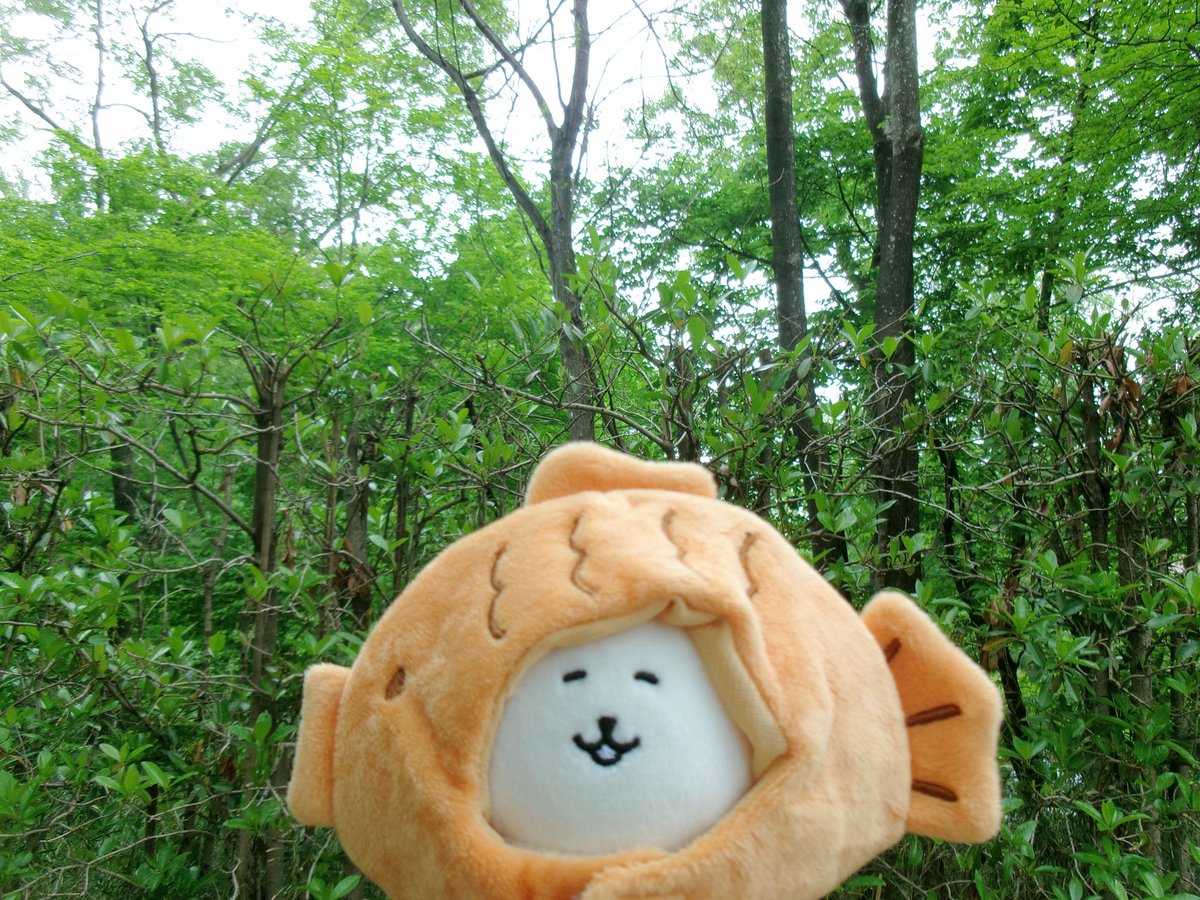 ホコリ tweet media