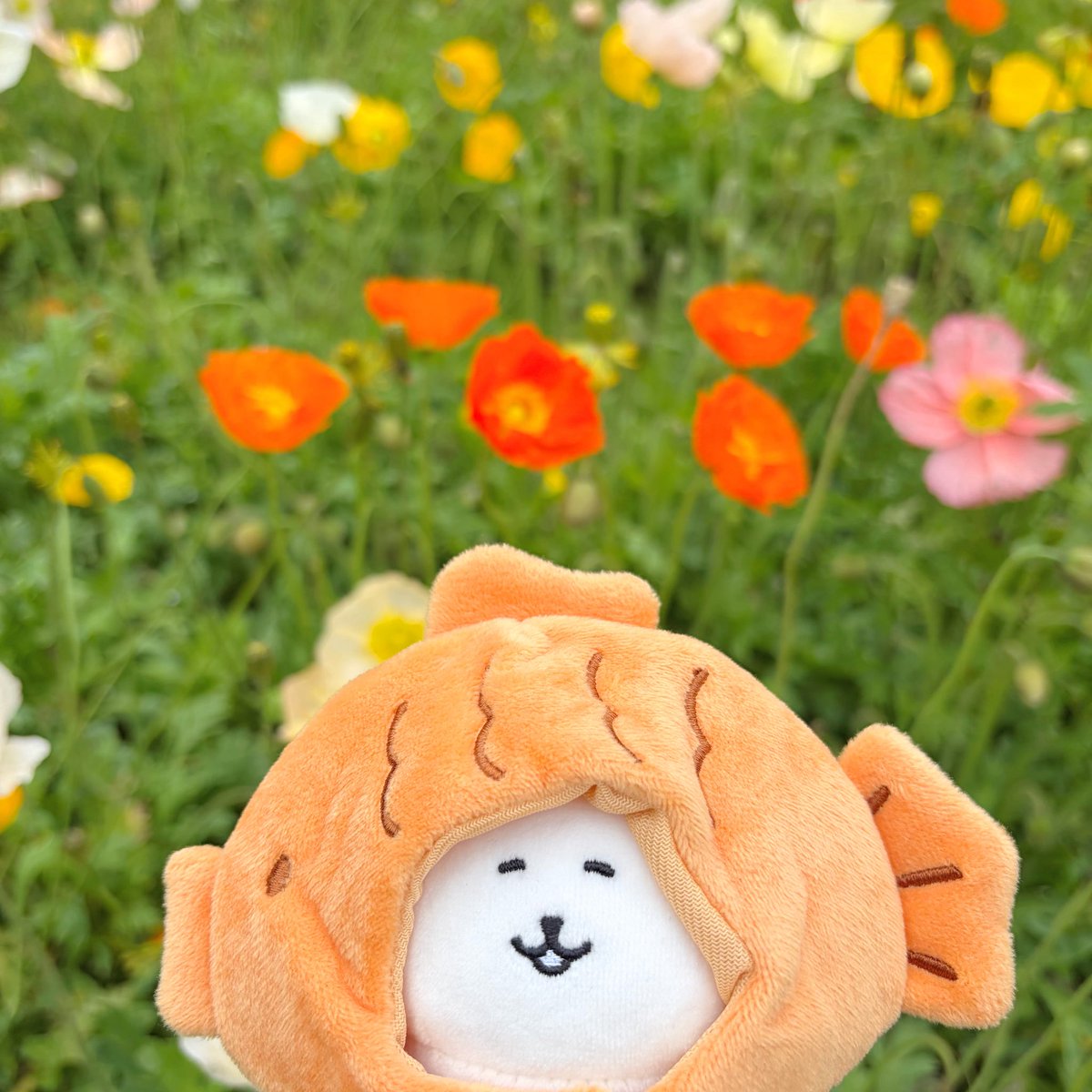 ホコリ tweet media