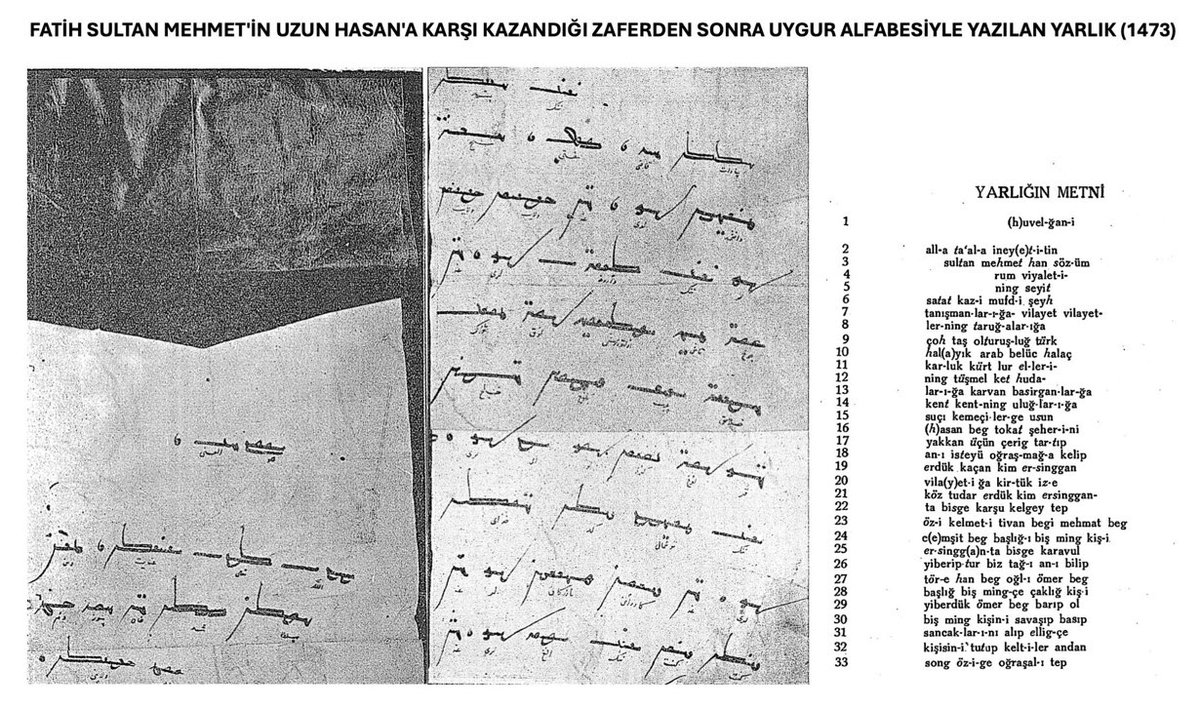 Uygur Hareketi tweet media