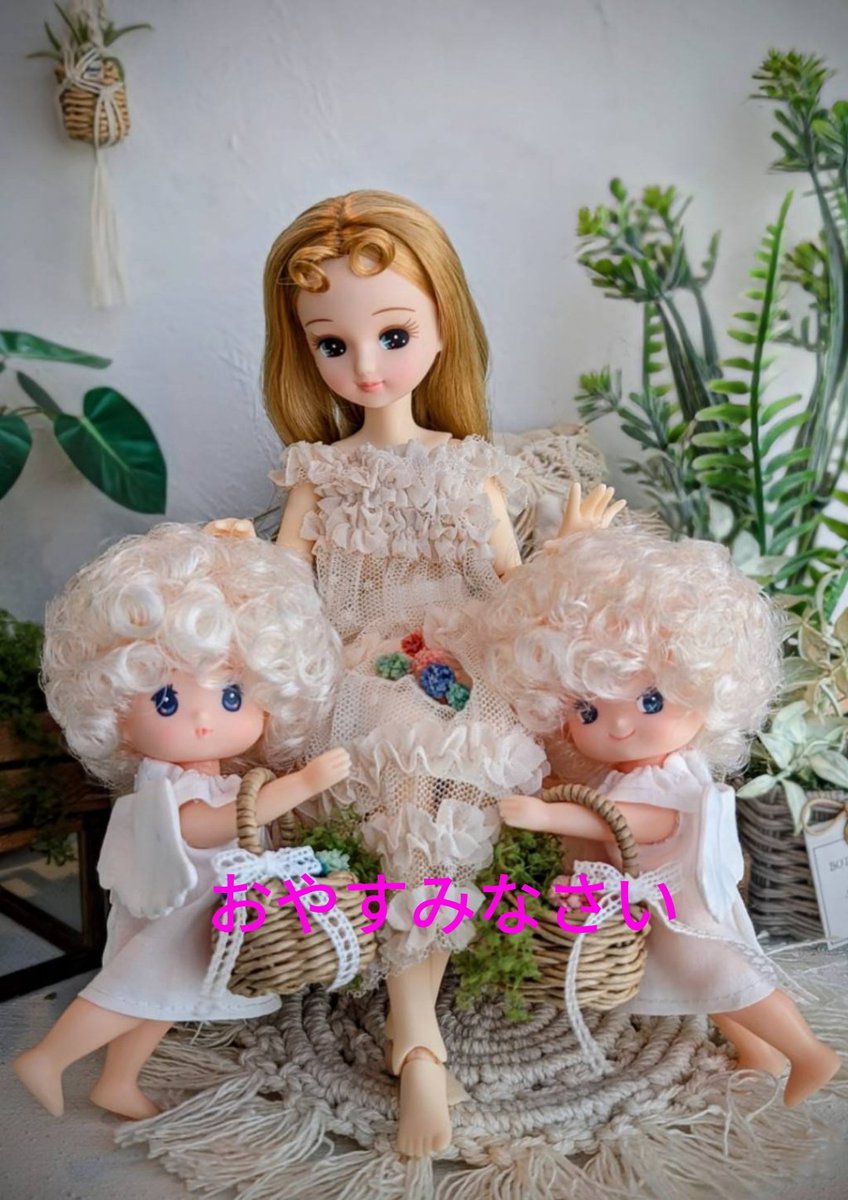 ネムノキ　🌹🌿🏵️🍀🌺💚 tweet media