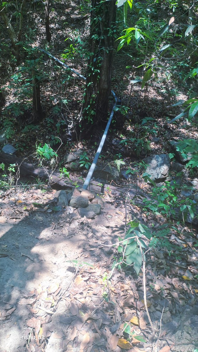 DM Champawat tweet media