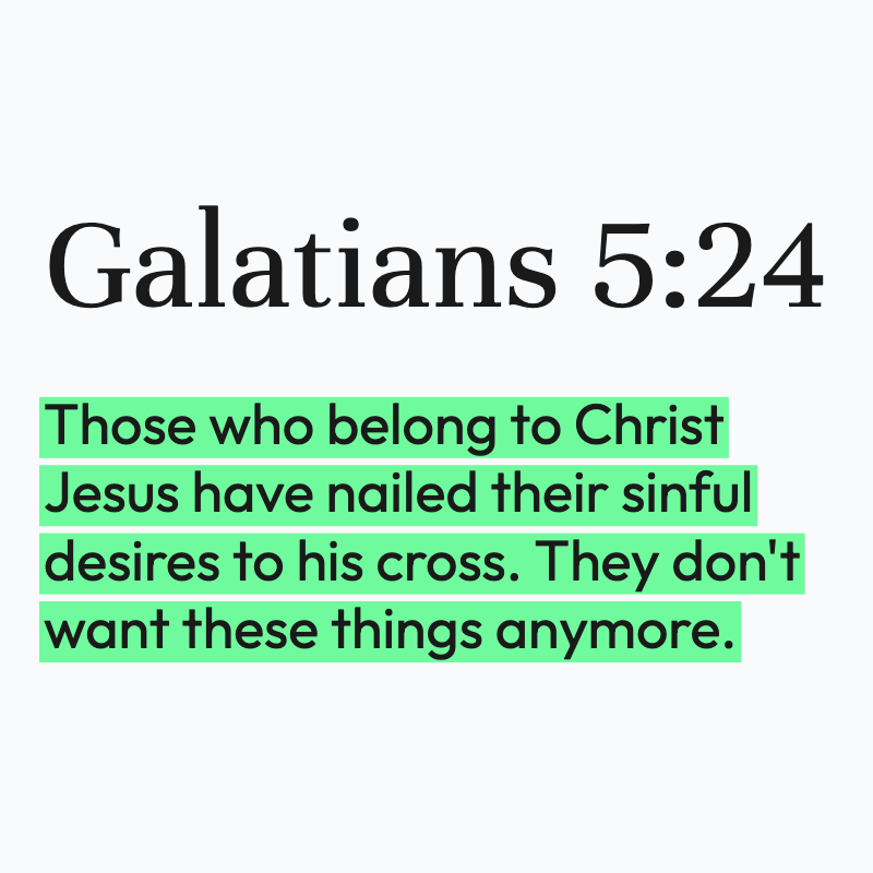 Biblical Advice tweet media