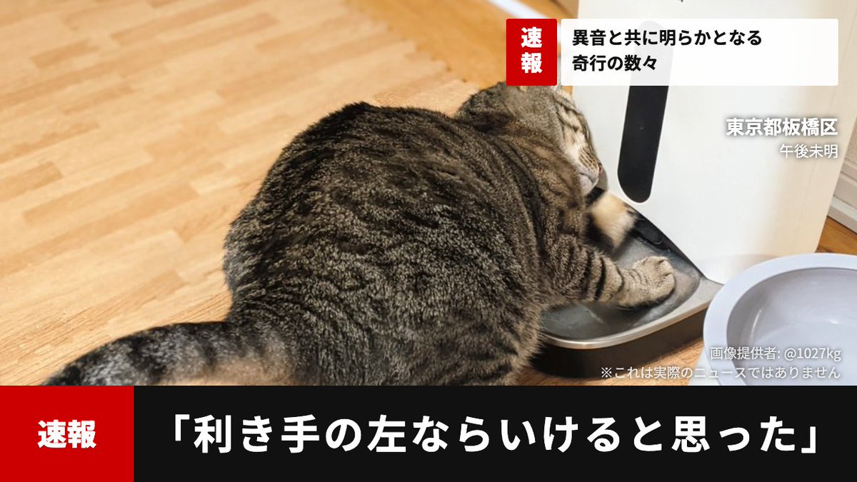 keiji (本体) tweet media