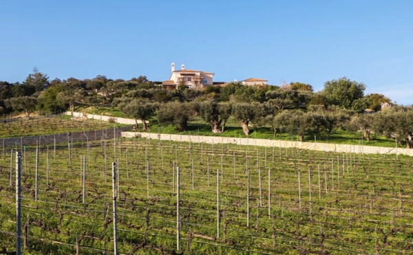 Algarve Daily News tweet media