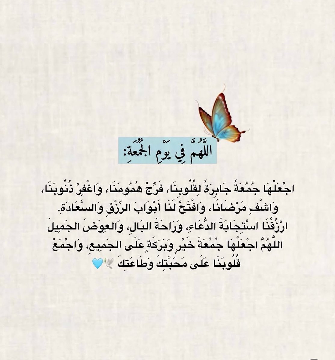 الـ گايدهـ 🦌 tweet media