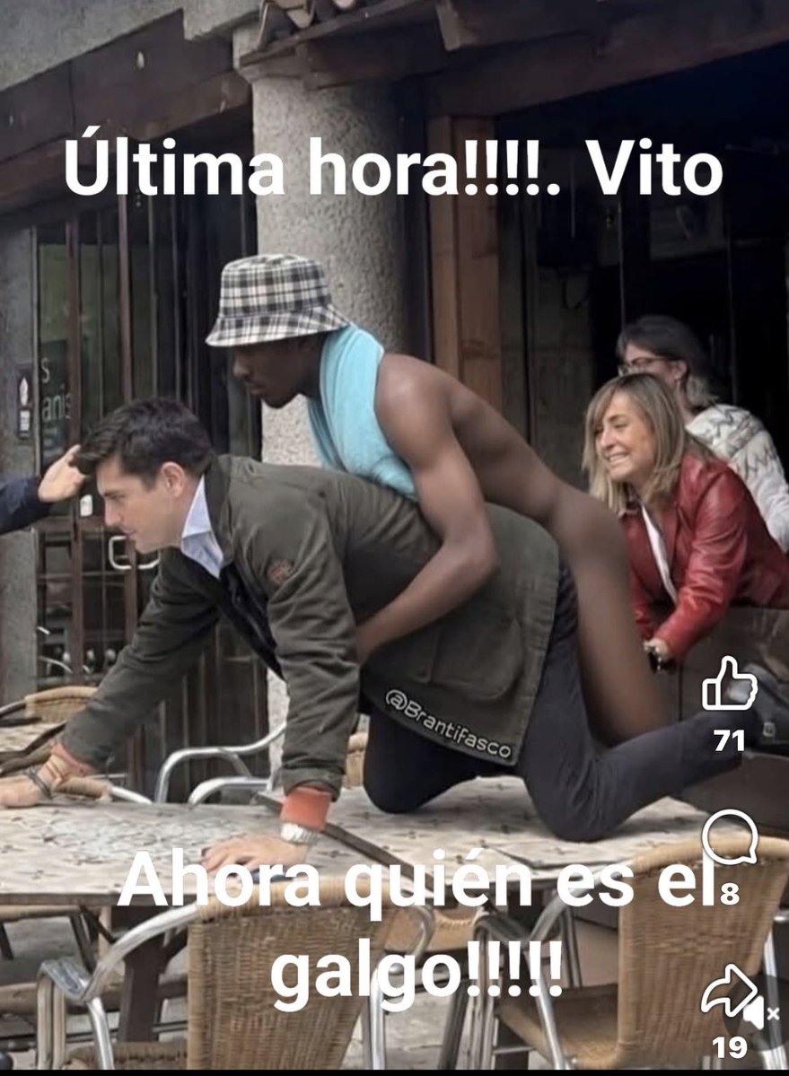 perro.santxe tweet media