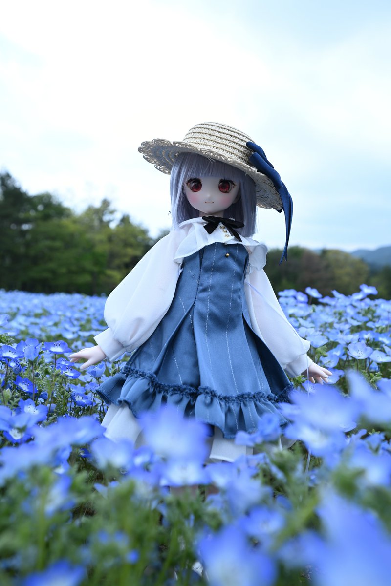 クラウス🐑🐬🍄🐜🍒🍋🚑🦋🌻🥕 tweet media