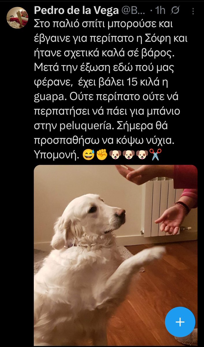 Δέσποτας Ο ΠΙΛΟΤΟΣ ✈ Ο ΠΟΘΗΤΟΣ🔥Ο ΚΒΑΝΤΙΚΟΣ🌌⚖ 🕯 tweet media