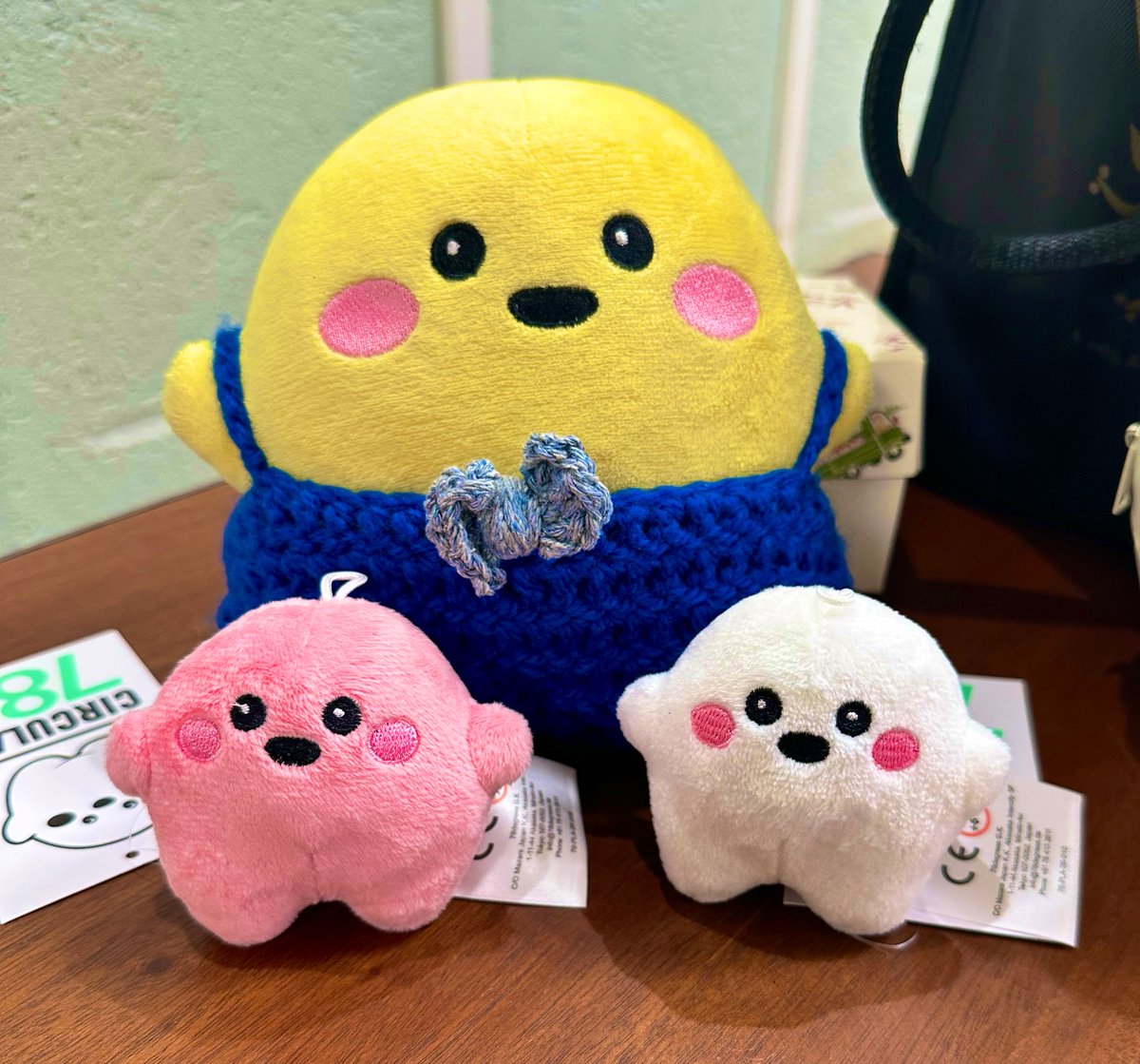 明日は新色サーキュラーちゃんの販売。 さらに、ぬい撮りをご希望の方