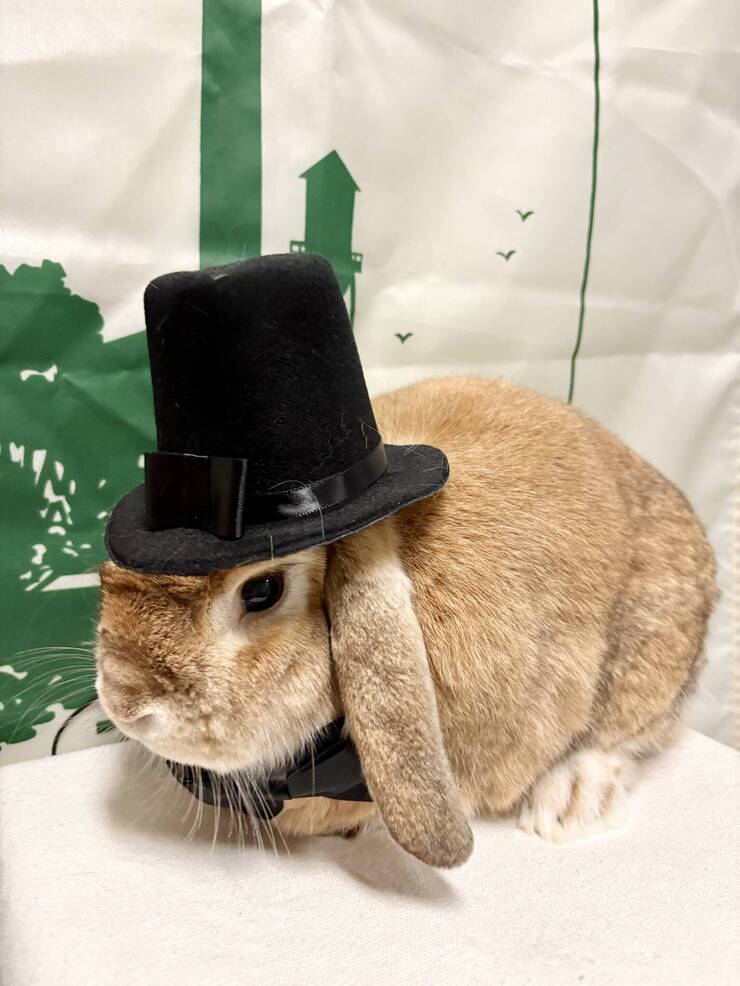 RockyTrails's tweet photo. Rabbit Rabbit Rabbit https://t.co/9U4eVJDXOG