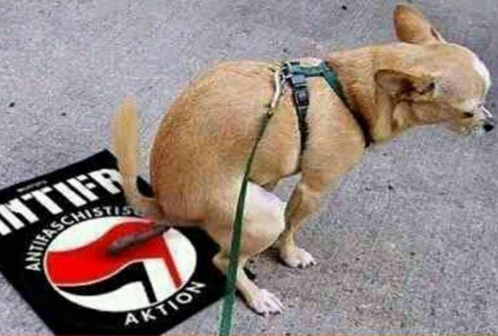Mustermaxel's tweet image. .
Multimillionäre, die sich für ihren unfassbaren Reichtum so sehr schämen, dass sie mit den Verlierern der verniedlichend #Antifa genannten Sturmtruppe der #SED @dieLinke sympathisieren. Früher ging man einfach zur Beichte und gut war.
.