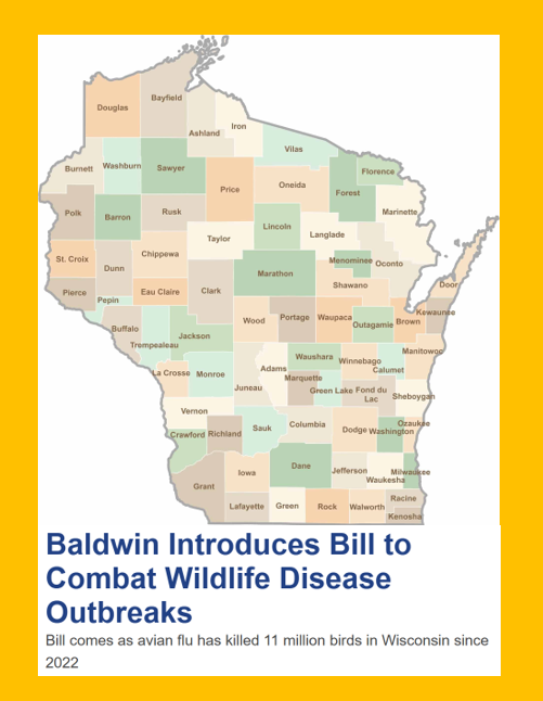 bennel62's tweet image. @SenatorBaldwin introduces legislation to prevent transmission of #wildlife diseases like #avianflu and #chronicwastingdisease paulsnewsline.blogspot.com/2026/05/sen-ta…