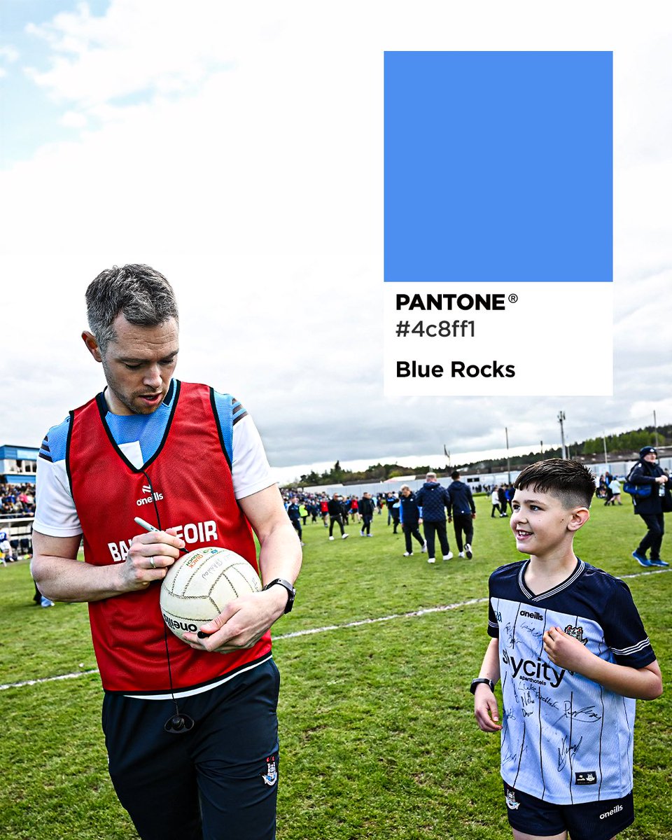 Leinster GAA tweet media