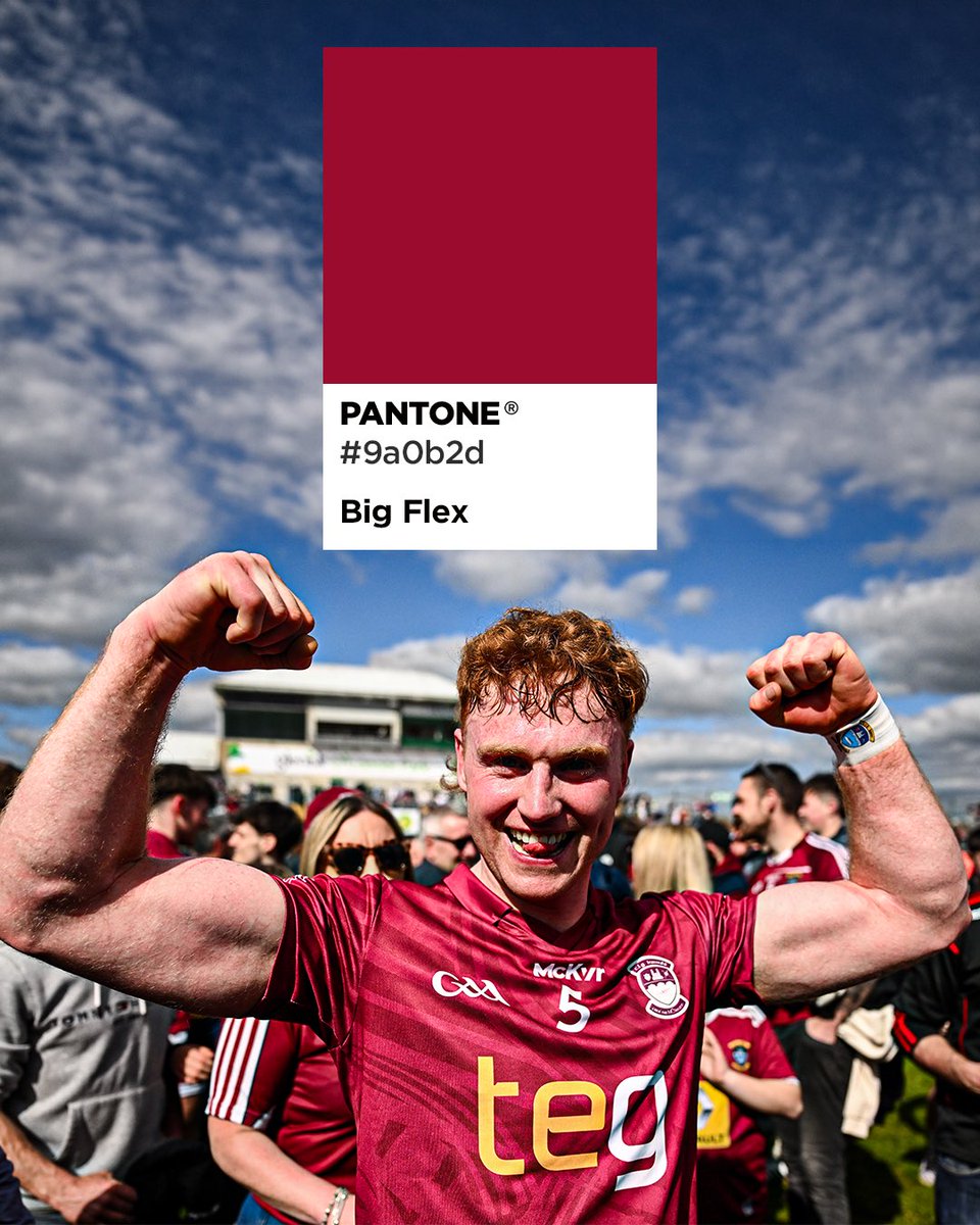 Leinster GAA tweet media