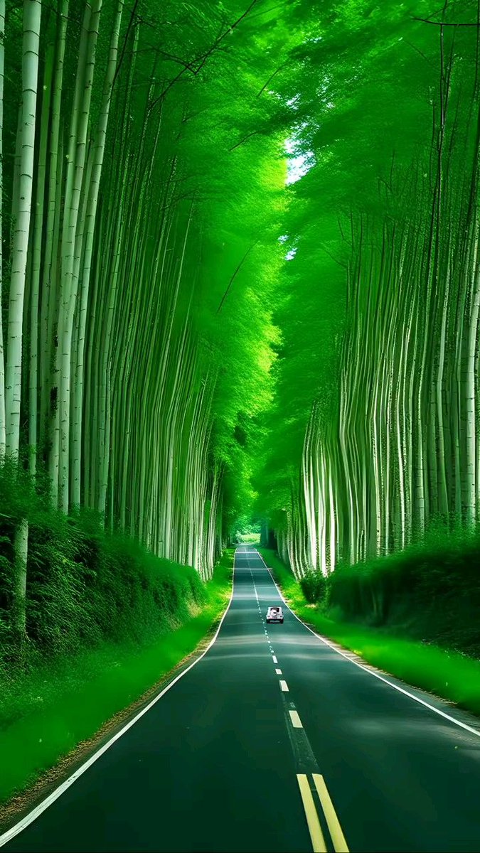 ReNature🦋 tweet media