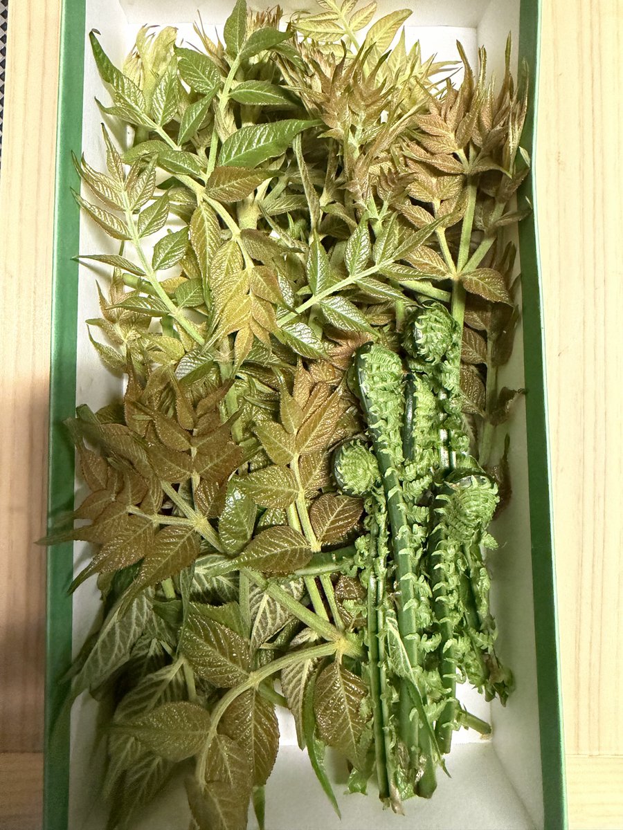 ふーちゃん｜自然栽培たけのことレモン tweet media